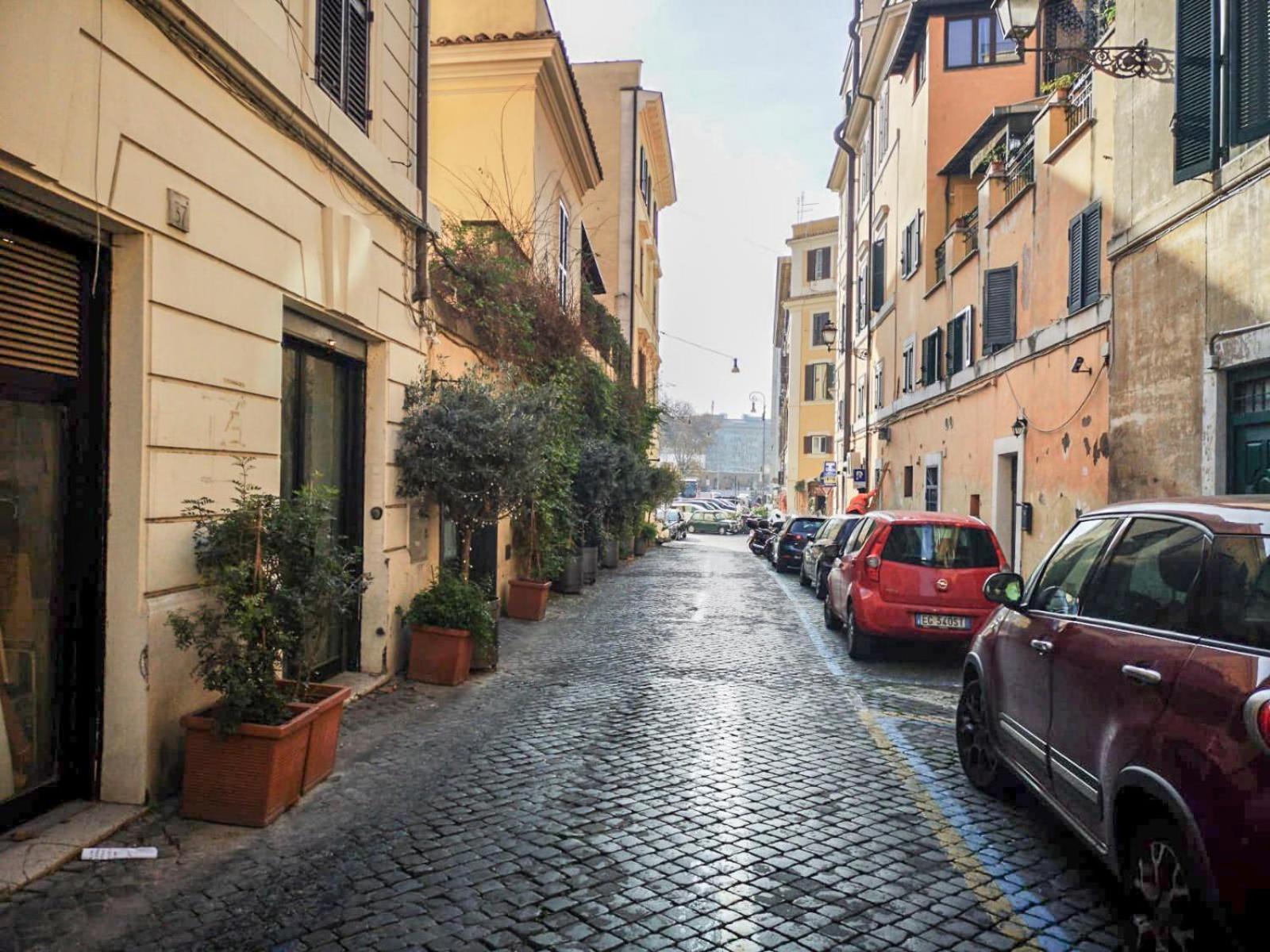 Flatinrome Trastevere Deluxe Rooms - Green Patio Dış mekan fotoğraf